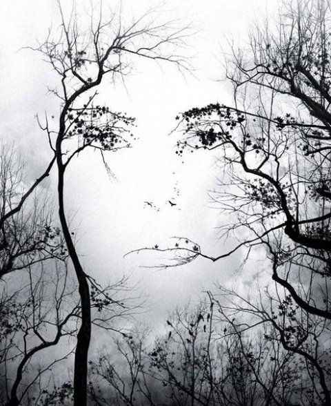 MEU CANTINHO - ILUSÃO